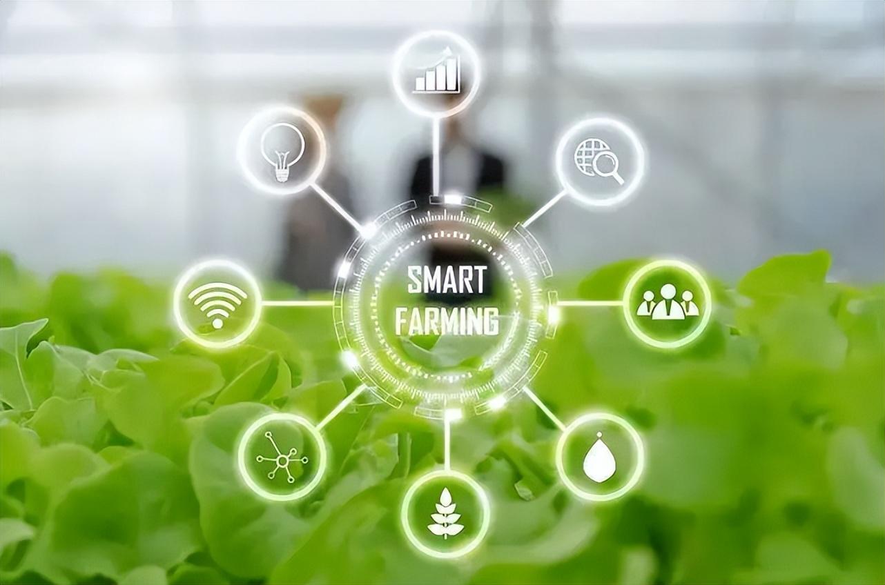 智慧農(nóng)業(yè)物聯(lián)網(wǎng)的未來(lái)在哪里？